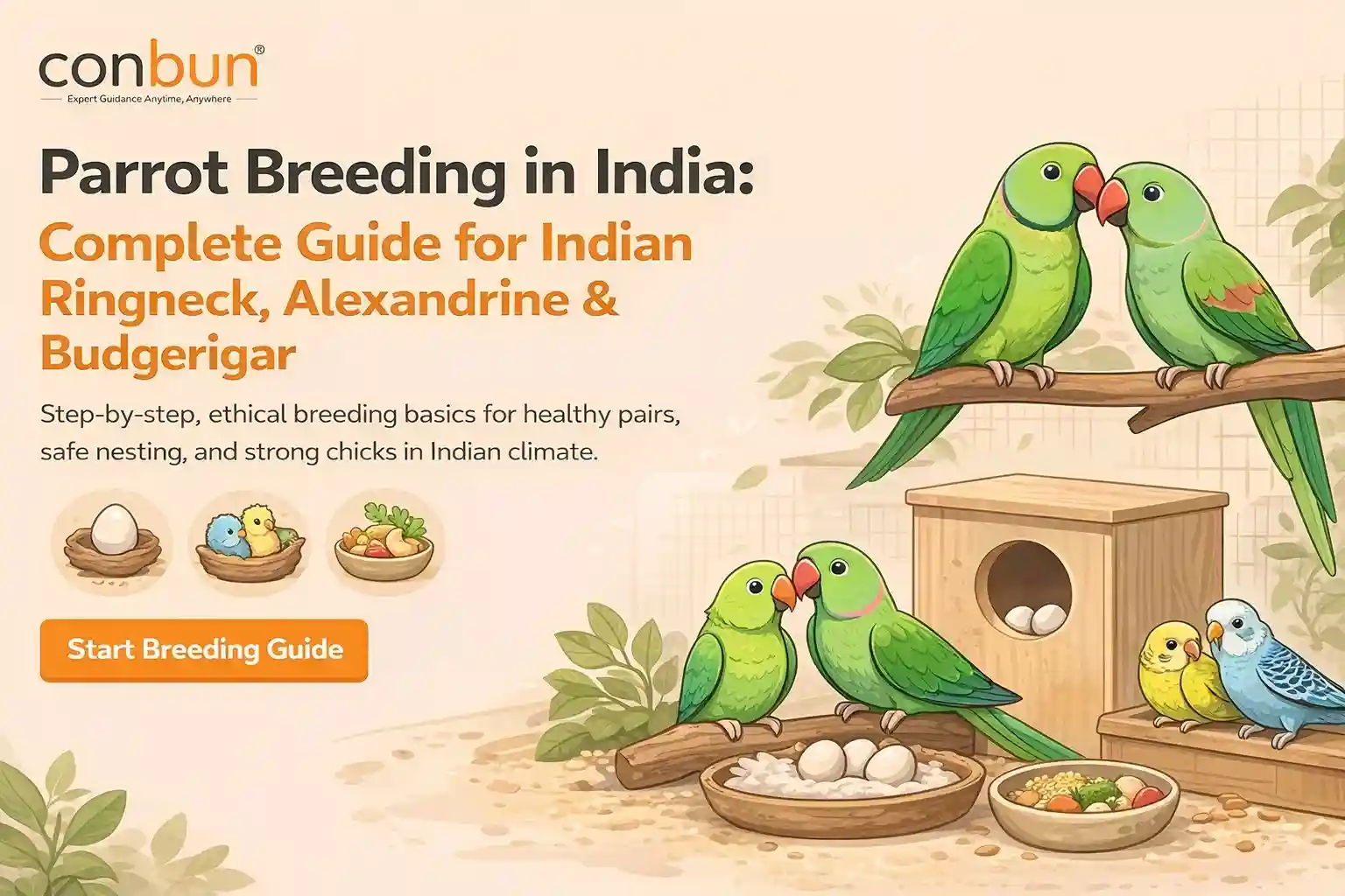 Parrot Breeding in India: Complete Guide for Indian Ringneck, Alexandrine & Budgerigar